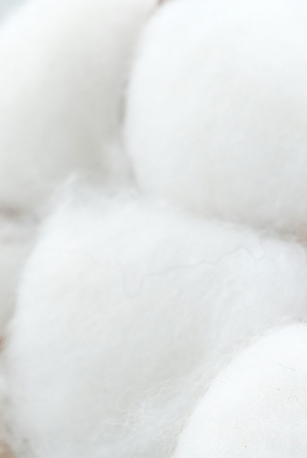 Better Cotton