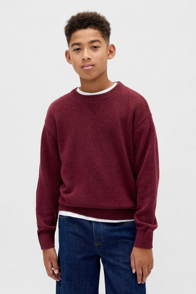 Kids Relaxed Crewneck Sweater