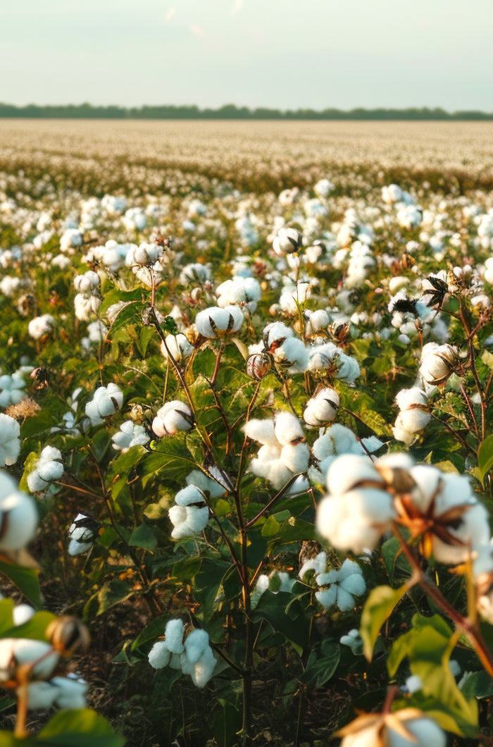 U.S. Cotton Trust Protocol