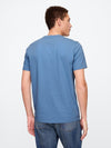soft cornflower