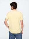 spring yellow