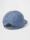 bainbridge blue