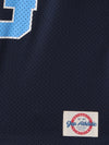 tapestry navy