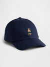 tapestry navy