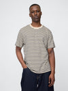 navy chino stripe